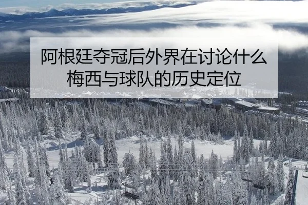 a-gen-ting-duo-guan-hou-wai-jie-zai-tao-lun-shen-me-mei-xi-yu-qiu-dui-de-li-shi-ding-wei-2-493.jpg